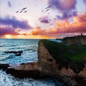 Meet your Posher, Amaya